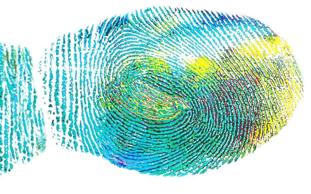 Fingerprint Clocking in Machines Germiston